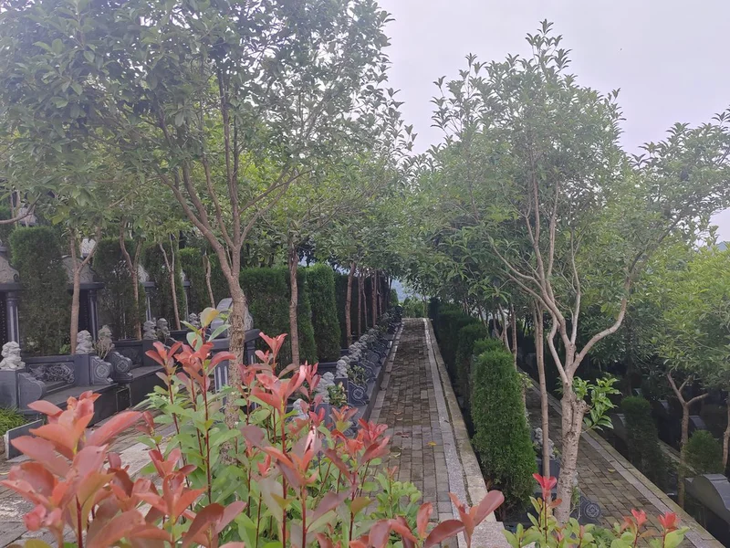 福果山多样性与文化价值