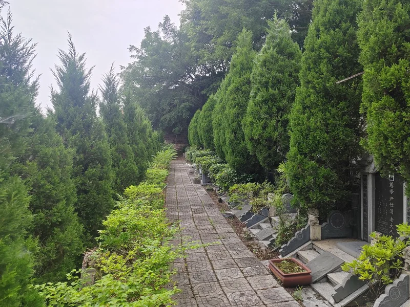 福果山，主城西郊思念故土