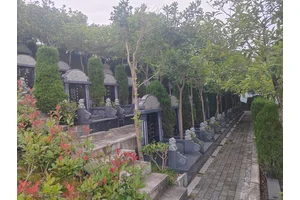 福果山的那些优势