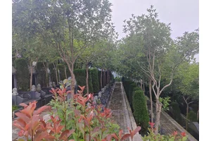 福果山多样性与文化价值