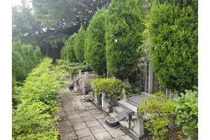福果山，绿化植物种植的影响