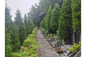 福果山，主城西郊思念故土