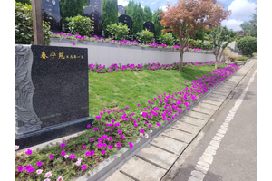 美丽的福果山生命纪念园